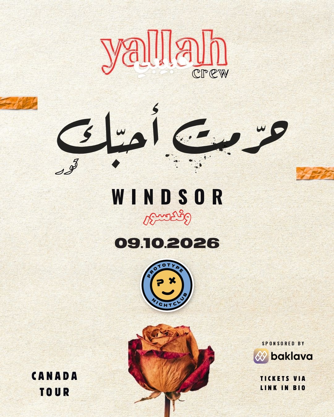 YALLAH HABIBI CREW- WINDSOR